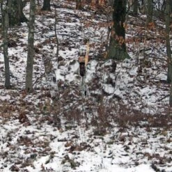 GhostBlind Predator Blind, Pop-Up Mirror Ground Hunting Blind -Coleman Shop GUEST 6ca15cef 00f2 4e99 9d16 b36c47e2bb34