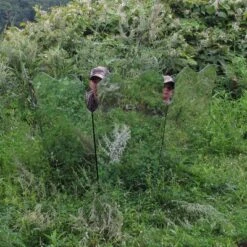 GhostBlind Predator Blind, Pop-Up Mirror Ground Hunting Blind -Coleman Shop GUEST ef0066d7 4761 4e5e 916a 7f68ced52922